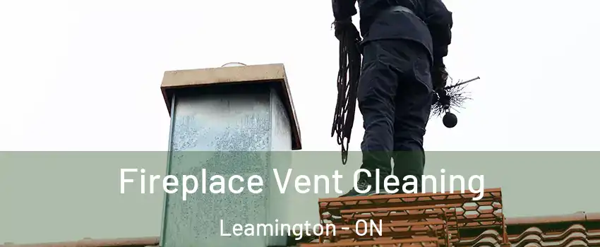  Fireplace Vent Cleaning Leamington - ON