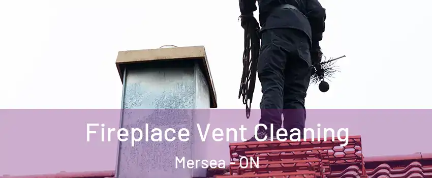  Fireplace Vent Cleaning Mersea - ON