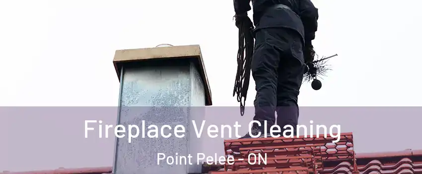  Fireplace Vent Cleaning Point Pelee - ON
