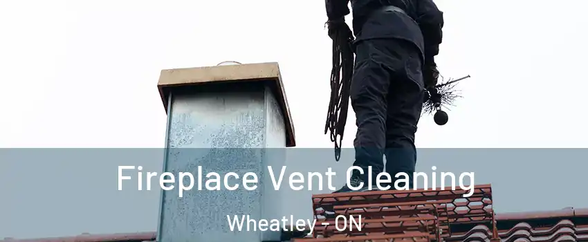  Fireplace Vent Cleaning Wheatley - ON