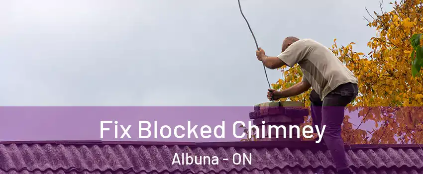  Fix Blocked Chimney Albuna - ON