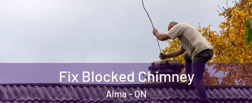 Fix Blocked Chimney Alma - ON