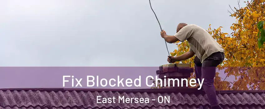  Fix Blocked Chimney East Mersea - ON
