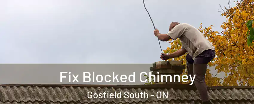  Fix Blocked Chimney Gosfield South - ON
