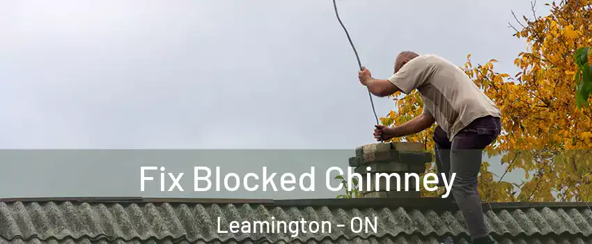  Fix Blocked Chimney Leamington - ON