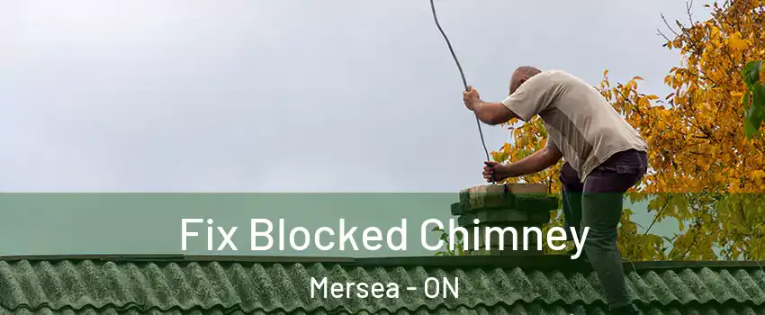  Fix Blocked Chimney Mersea - ON