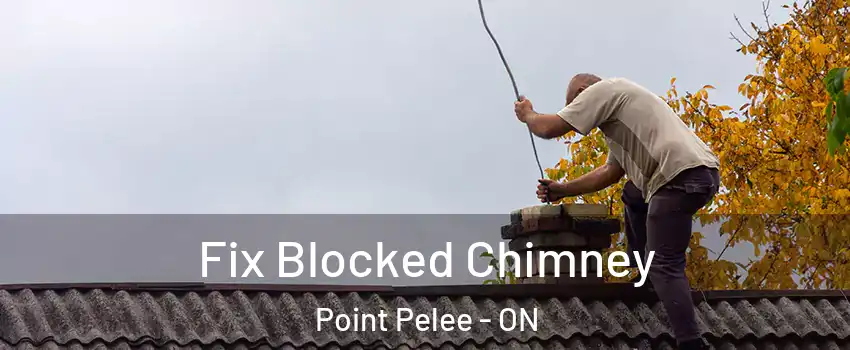  Fix Blocked Chimney Point Pelee - ON