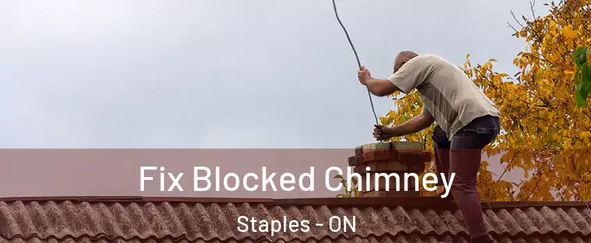  Fix Blocked Chimney Staples - ON