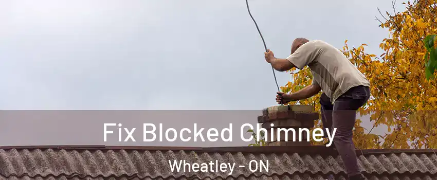  Fix Blocked Chimney Wheatley - ON