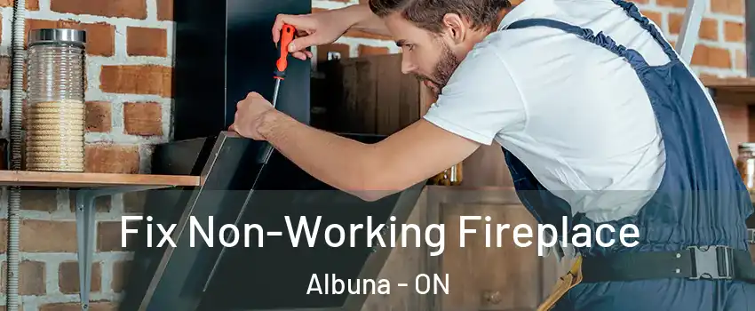 Fix Non-Working Fireplace Albuna - ON