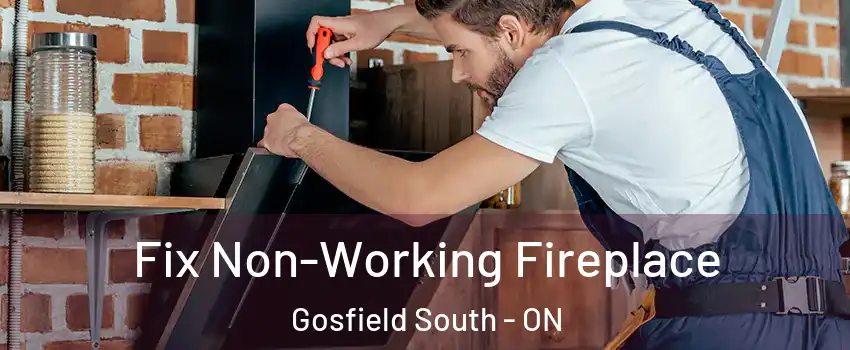 Fix Non-Working Fireplace Gosfield South - ON