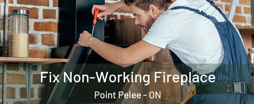  Fix Non-Working Fireplace Point Pelee - ON