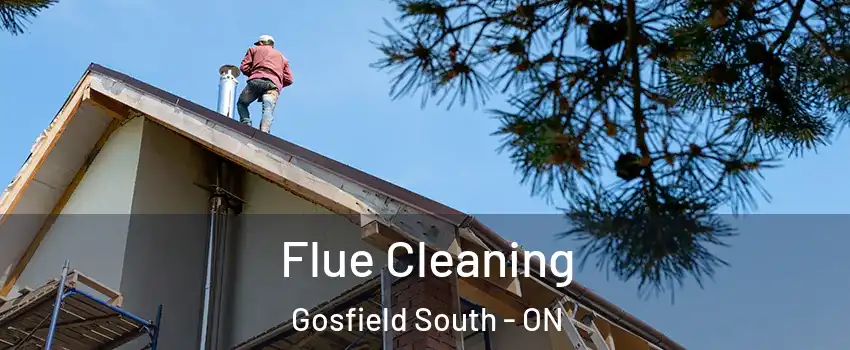  Flue Cleaning Gosfield South - ON