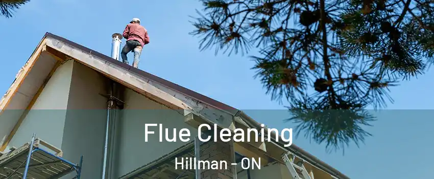  Flue Cleaning Hillman - ON