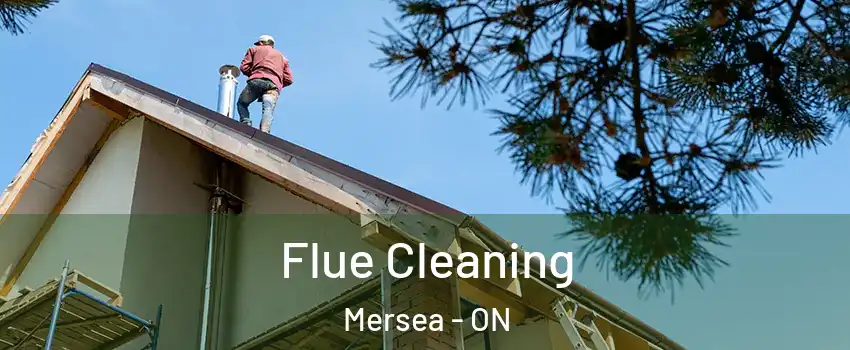  Flue Cleaning Mersea - ON