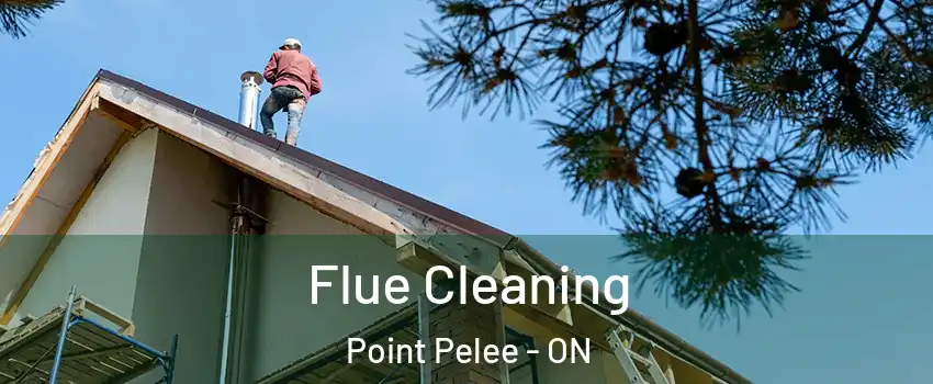  Flue Cleaning Point Pelee - ON