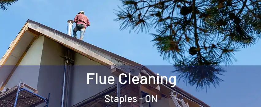  Flue Cleaning Staples - ON