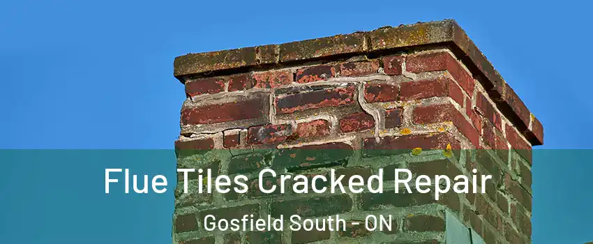  Flue Tiles Cracked Repair Gosfield South - ON