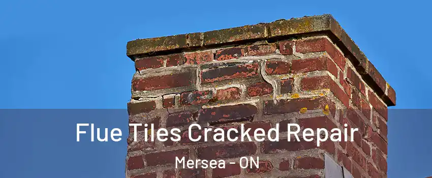  Flue Tiles Cracked Repair Mersea - ON