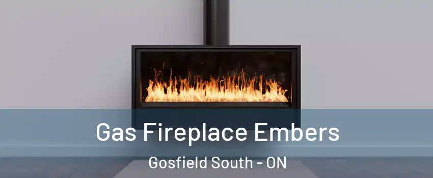  Gas Fireplace Embers Gosfield South - ON
