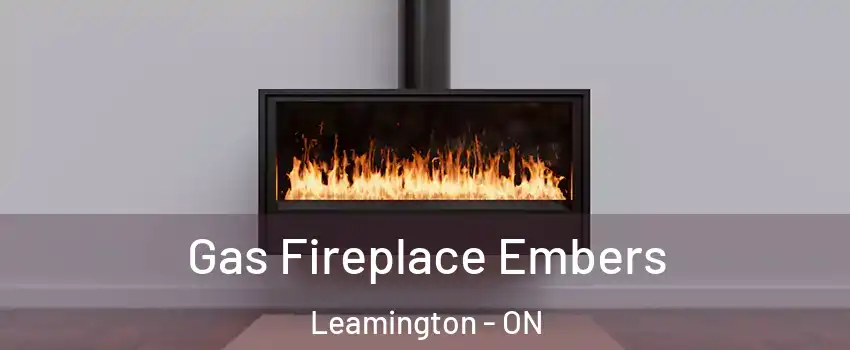  Gas Fireplace Embers Leamington - ON