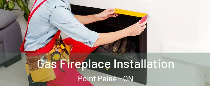  Gas Fireplace Installation Point Pelee - ON