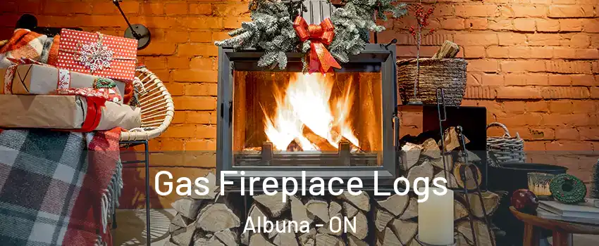  Gas Fireplace Logs Albuna - ON