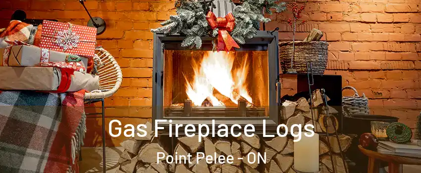 Gas Fireplace Logs Point Pelee - ON