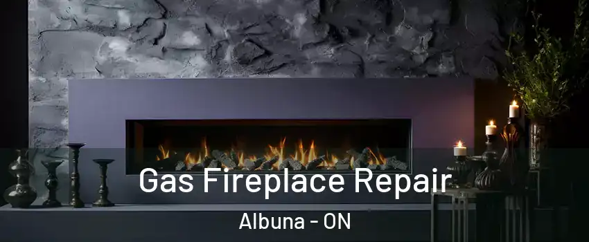  Gas Fireplace Repair Albuna - ON
