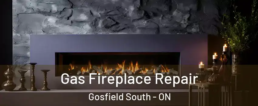  Gas Fireplace Repair Gosfield South - ON