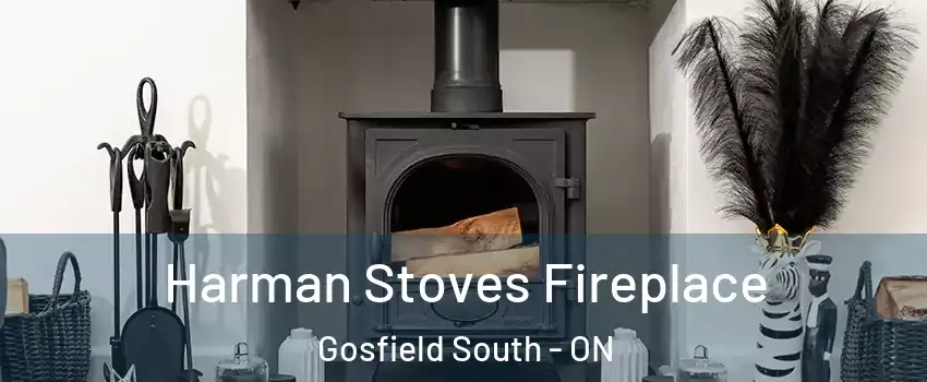  Harman Stoves Fireplace Gosfield South - ON