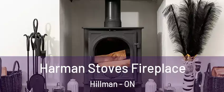  Harman Stoves Fireplace Hillman - ON