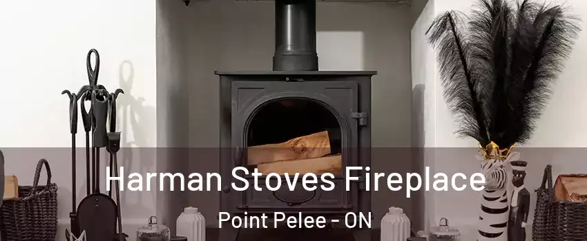  Harman Stoves Fireplace Point Pelee - ON