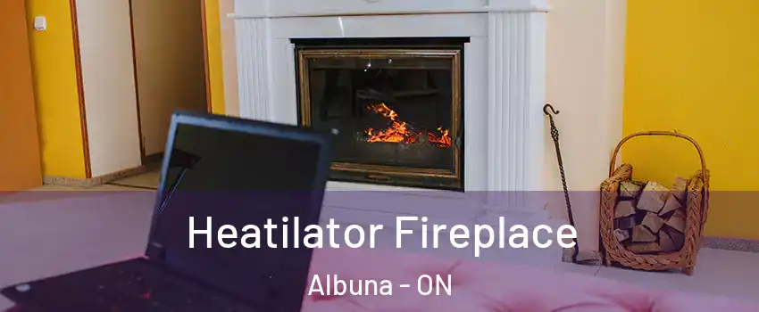  Heatilator Fireplace Albuna - ON