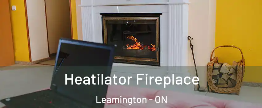 Heatilator Fireplace Leamington - ON