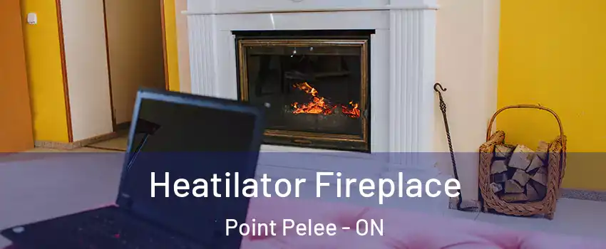  Heatilator Fireplace Point Pelee - ON