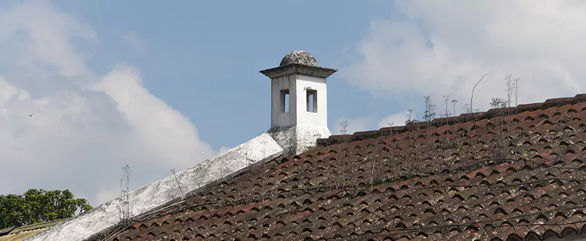Wind-Resistant Chimney Caps Installation and Repair Services in Hillman, Ontario