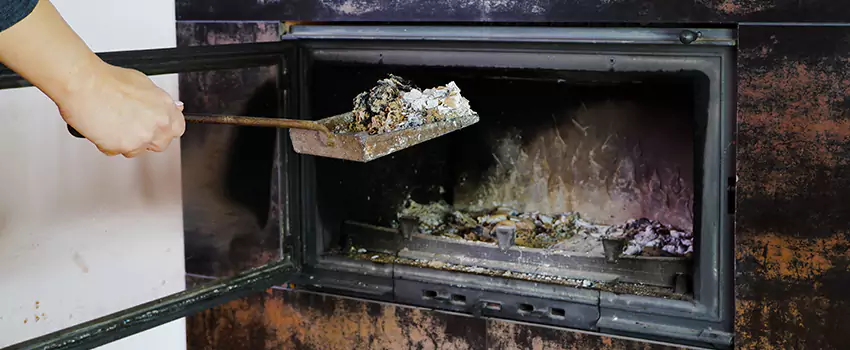 Wood Burning Chimney Odor Removal in Gosfield South, Ontario