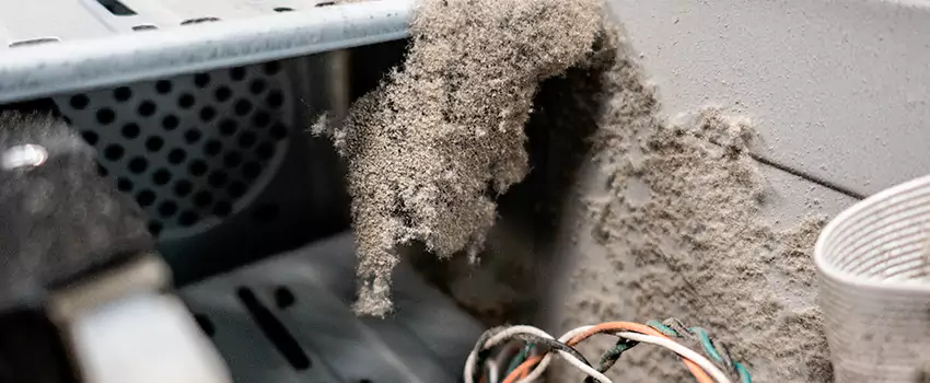 Clogged Dryer Vent Lint Cleaning in Leamington, Ontario