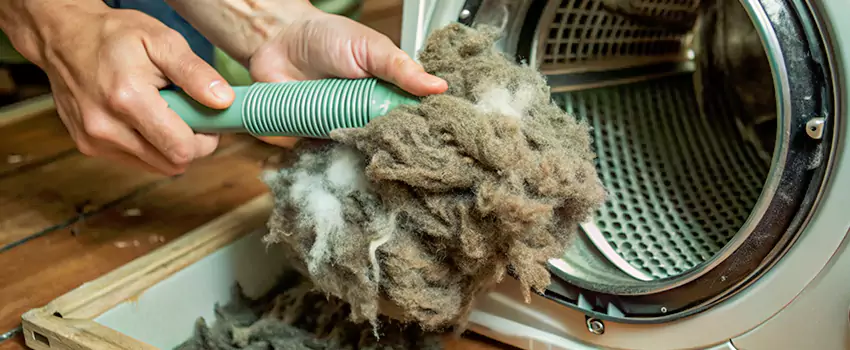 Best Dryer Lint Removal Company in Gosfield South, Ontario