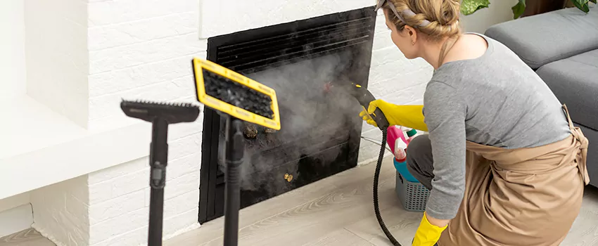 Fireplace Doors Cleaning in Gosfield South, Ontario