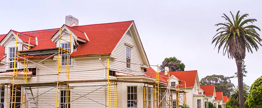 Commercial Chimney Blockage Removal in Gosfield South, Ontario