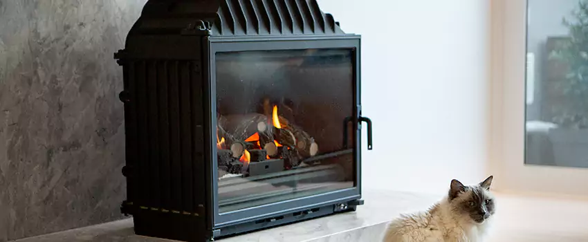 Fireplace Damaged Damper Frame Repair Services in Gosfield South, Ontario