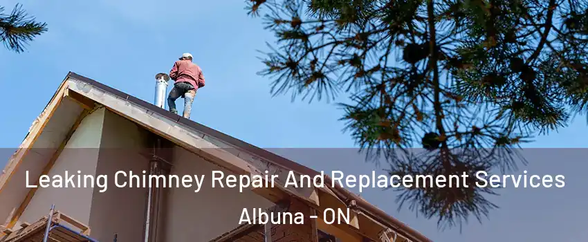  Leaking Chimney Repair And Replacement Services Albuna - ON