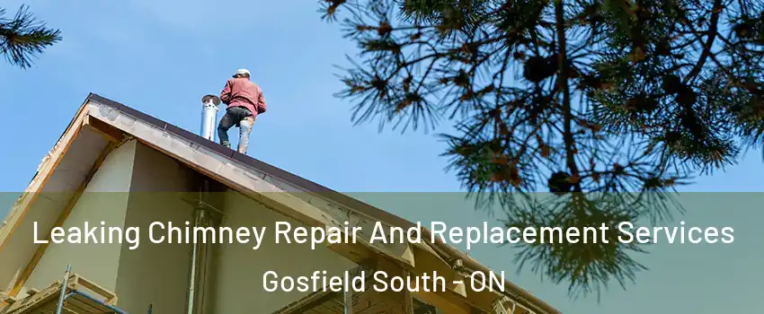  Leaking Chimney Repair And Replacement Services Gosfield South - ON