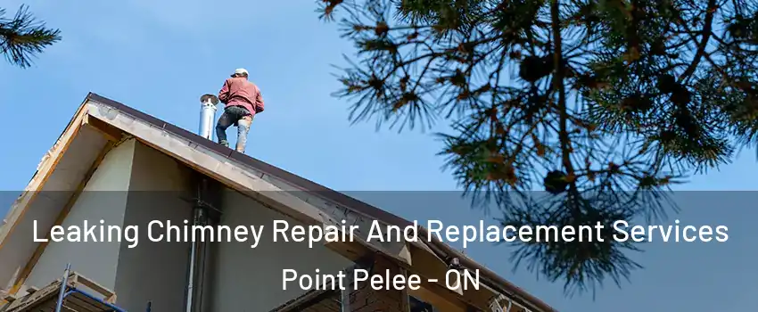  Leaking Chimney Repair And Replacement Services Point Pelee - ON