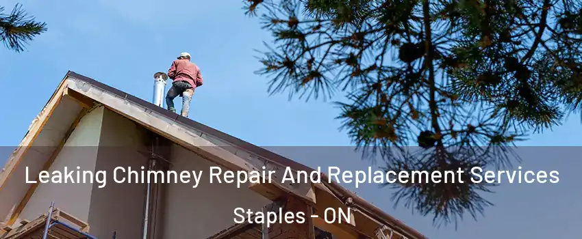  Leaking Chimney Repair And Replacement Services Staples - ON