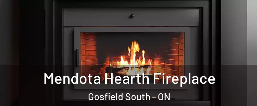 Mendota Hearth Fireplace Gosfield South - ON