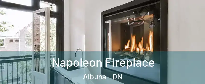  Napoleon Fireplace Albuna - ON