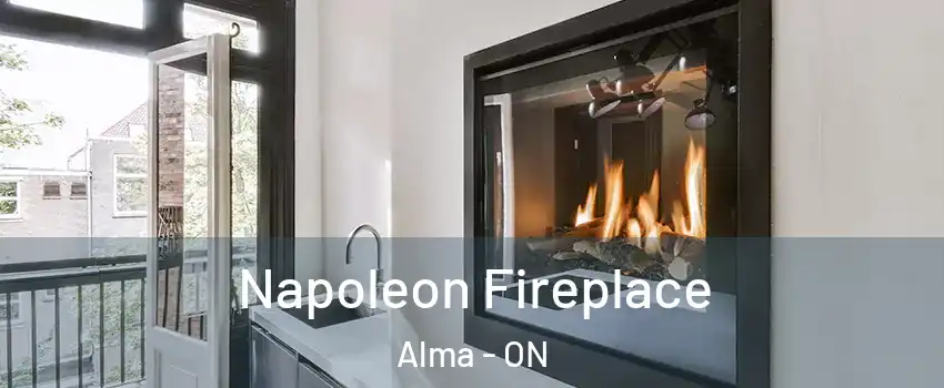  Napoleon Fireplace Alma - ON